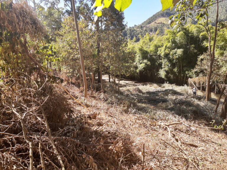 Terreno no bairro Jd São Luis em Joanópolis